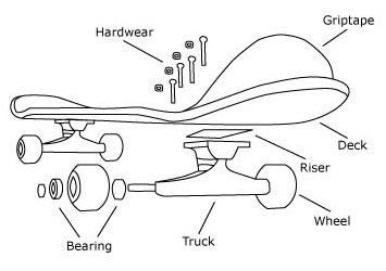 Anatomy of a Skateboard