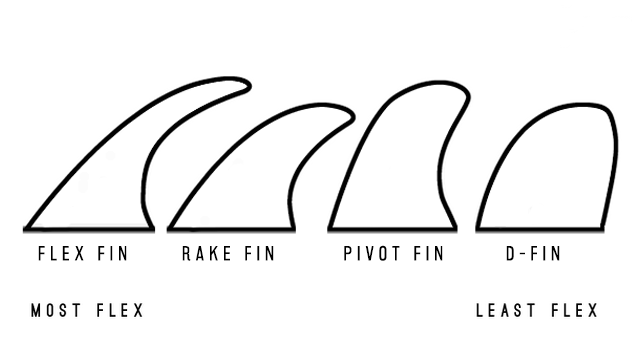 Fin Types and Fin Flex
